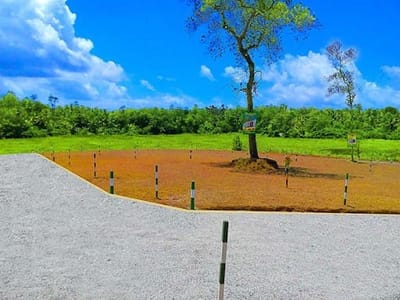 land1.jpg